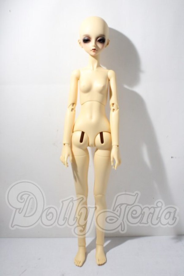 画像5: peak'swood/FOC　wake up goldie A-26-04-01-1098-TN-ZU (5)