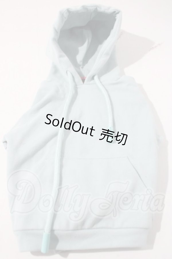 画像1: SDGｒB/OF:パーカー　MELODY.C様製 U-26-04-01-022-TN-ZU (1)