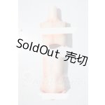 画像: MDD/隠's ボーイボディー 外被パーツ:kakuso doll様製 A-26-04-01-1088-TN-ZU