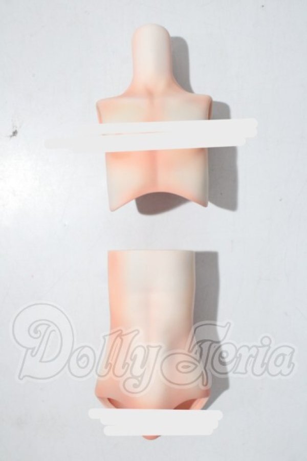 画像1: MDD/隠's ボーイボディー 外被パーツ:kakuso doll様製 A-26-04-01-1088-TN-ZU (1)