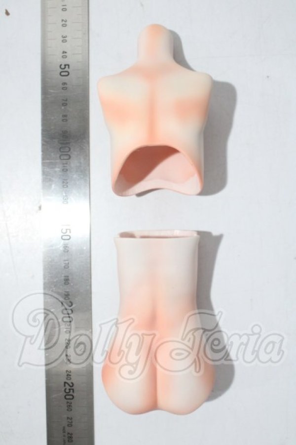画像2: MDD/隠's ボーイボディー 外被パーツ:kakuso doll様製 A-26-04-01-1088-TN-ZU (2)