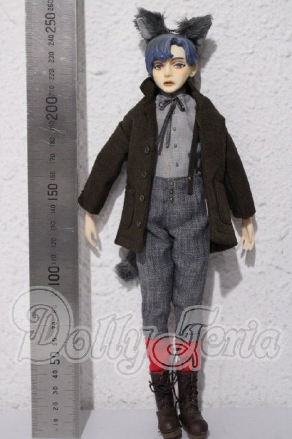 画像2: NIJIQO/誠くん A-26-04-01-1046-TN-ZU (2)