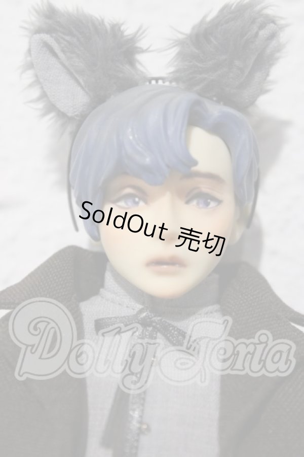 画像1: NIJIQO/誠くん A-26-04-01-1045-TN-ZU (1)