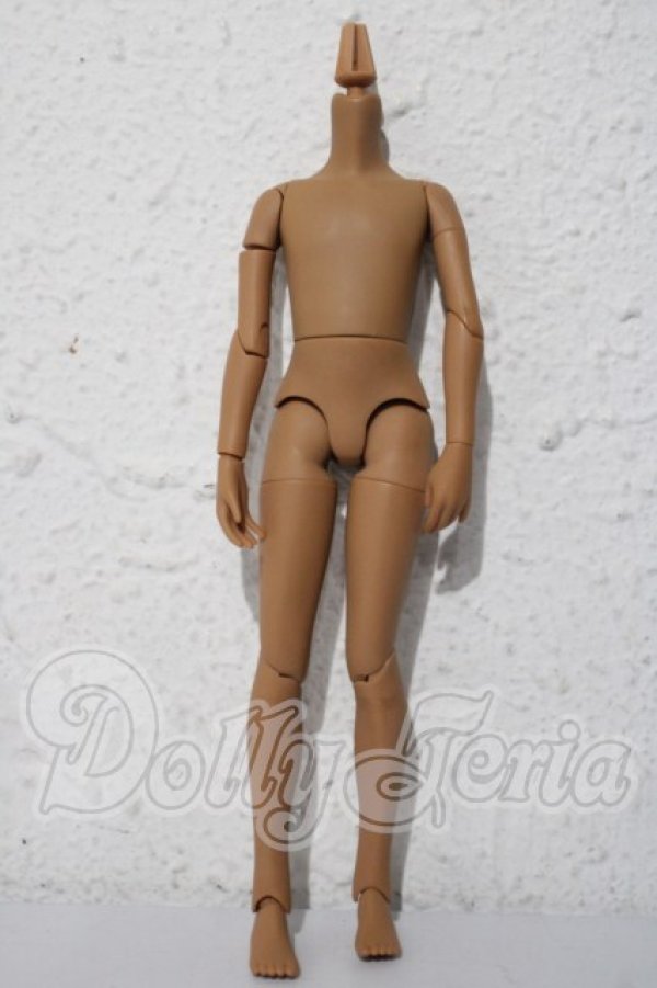 画像1: azone/ピュアニーモS男の子ボディ A-26-04-01-1043-TN-ZU (1)