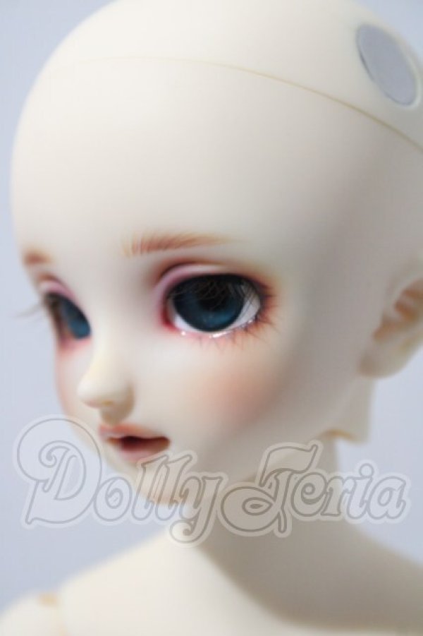 画像4: SDM/コーディネートF-40 U-26-04-01-216-TN-ZU (4)