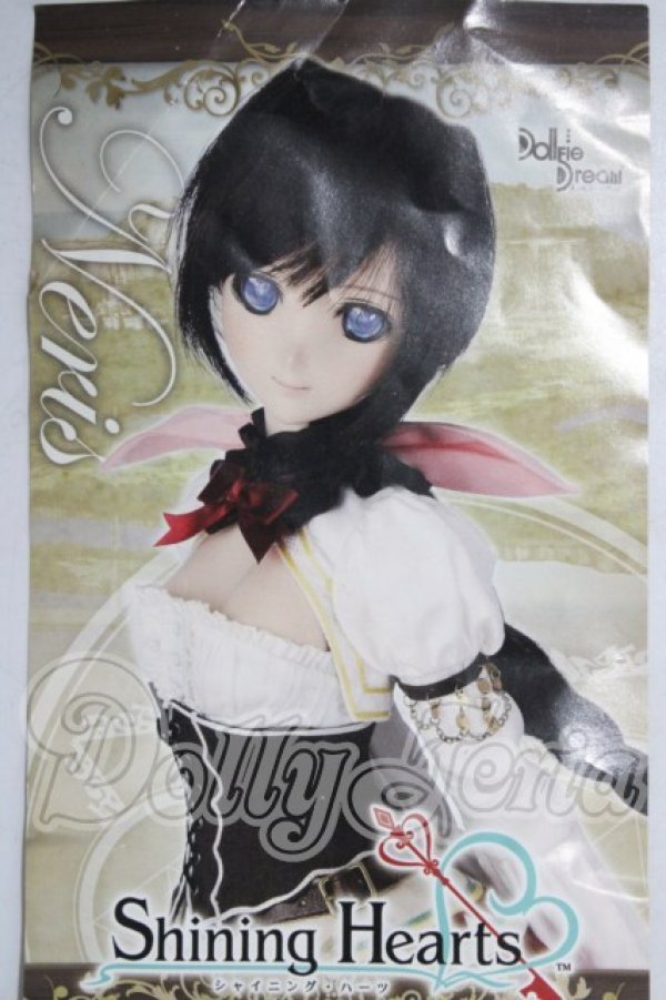 画像3: DD/シャイニングハーツ　ネリス衣装セット A-26-04-01-1016-TN-ZU (3)