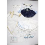 画像: DD/OF:初音ミク Snow Princessセット A-26-04-08-1020-TN-ZU