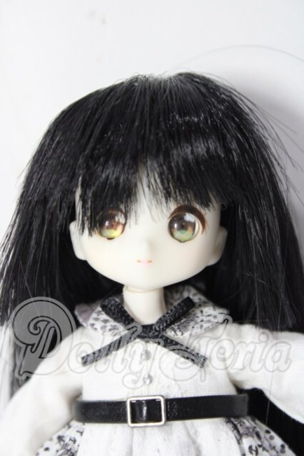 画像1: DOLLCE/ミニスウィーツドール：スノーチコリ A-26-05-13-1020-TN-ZU (1)