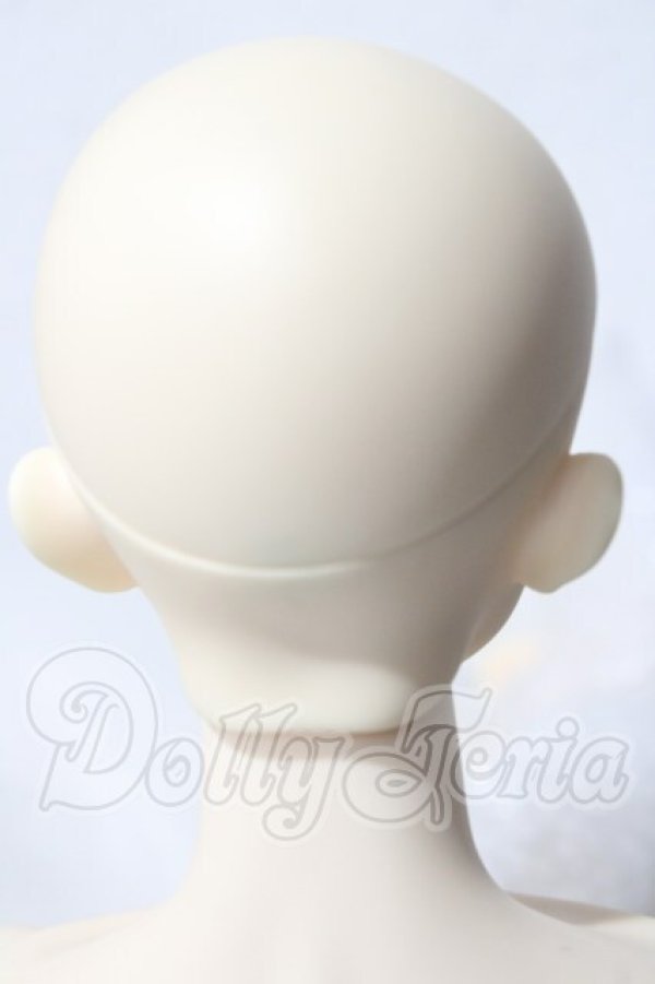 画像4: LUTS/Senior65 Delf XYLON　ヘッド A-26-04-08-1098-TN-ZU (4)