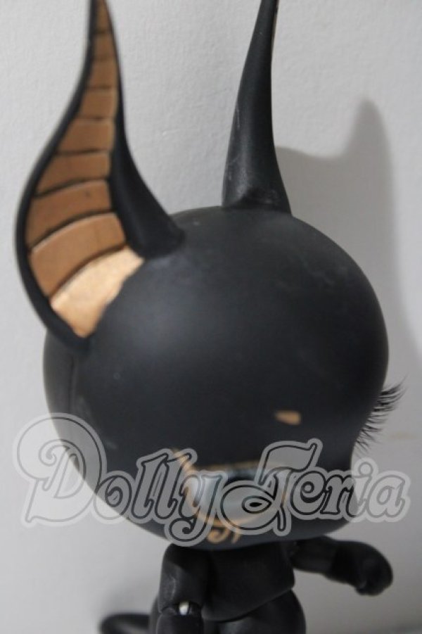 画像6: BLACK BOX/ANUBIS A-26-04-01-1048-TN-ZU (6)