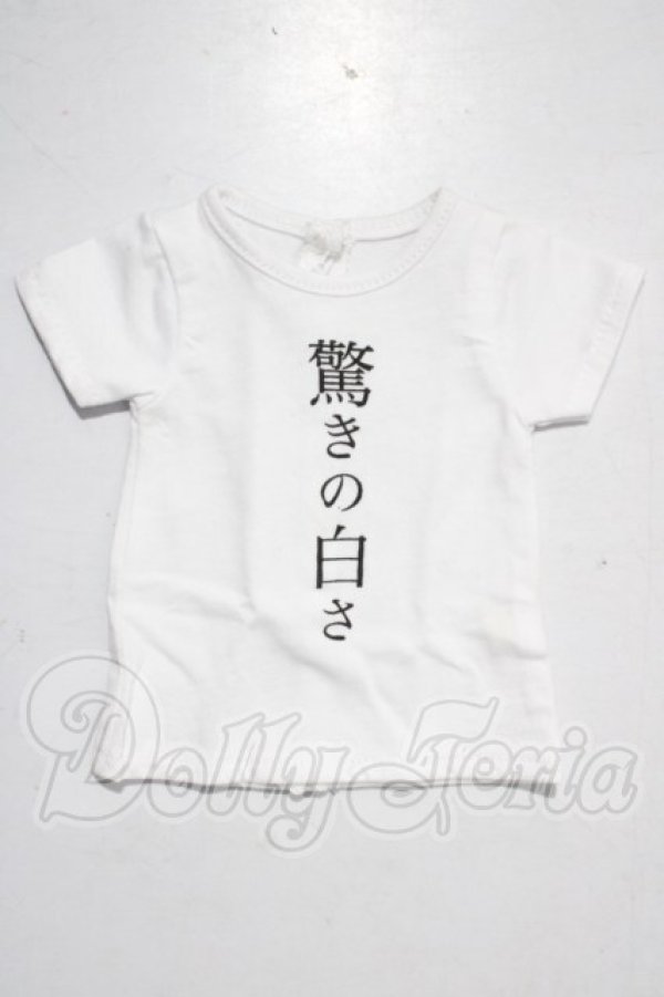 画像1: DD/OF：Tシャツ A-26-04-08-1082-TN-ZU (1)