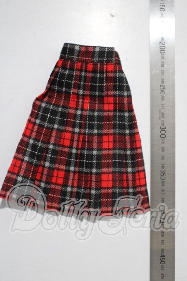 画像2: SDM＆MSD/OF:スカート U-26-04-08-171-TN-ZU (2)