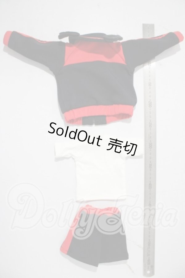 画像2: MDD/OF:Skyloops様衣装セット A-26-04-15-1019-TN-ZU (2)