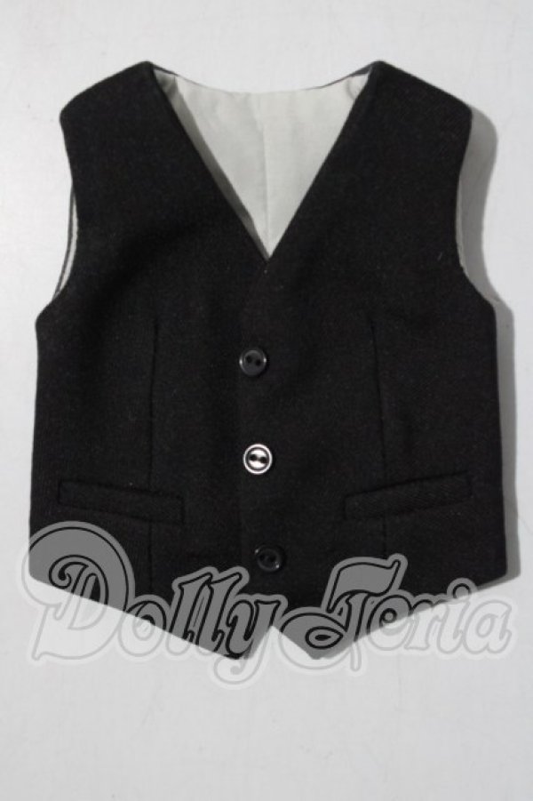 画像1: SDM＆MSD/OF:ベスト U-26-04-15-177-TN-ZU (1)