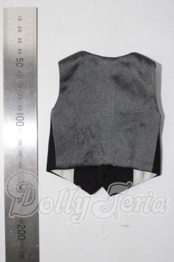 画像2: SDM＆MSD/OF:ベスト U-26-04-15-177-TN-ZU (2)