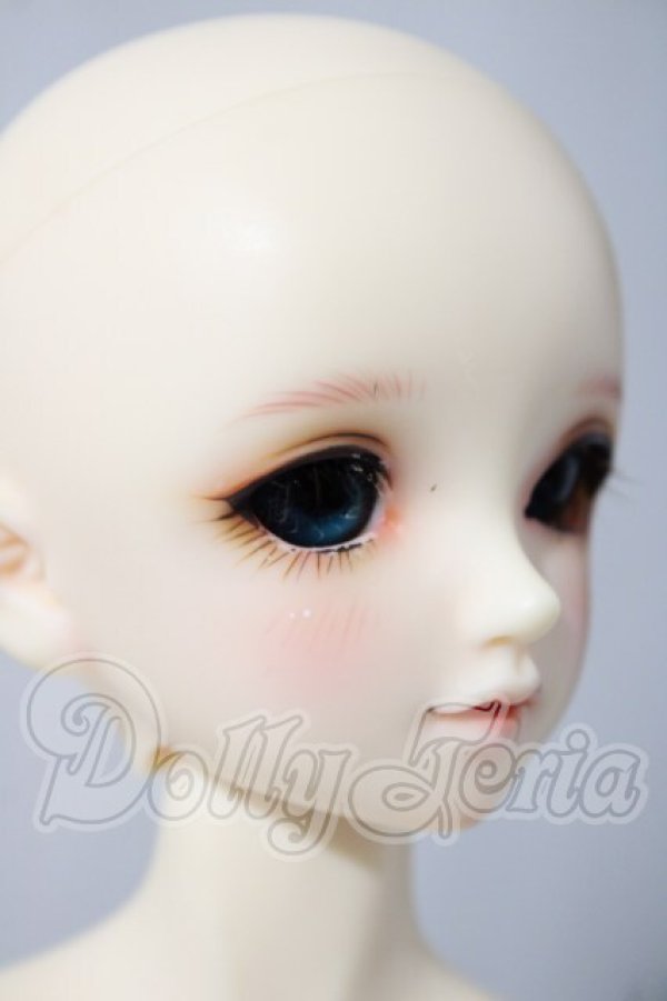 画像3: SDM/フルチョイスF-45 U-26-04-15-215-TN-ZU (3)