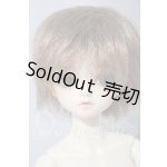 画像: SDM/F-31 コーディネートモデル U-26-04-15-214-TN-ZU