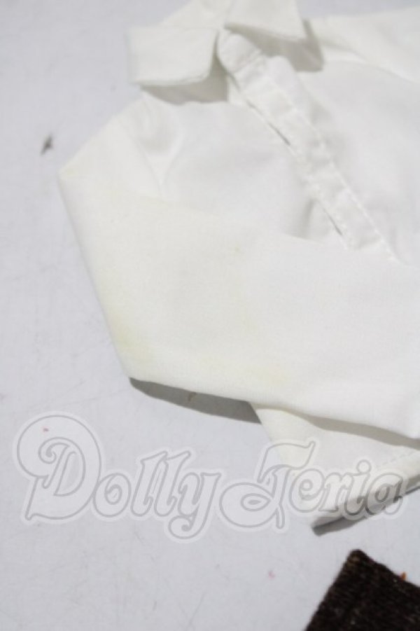 画像9: SDM/F-31　コーディネートモデル U-26-04-15-214-TN-ZU (9)