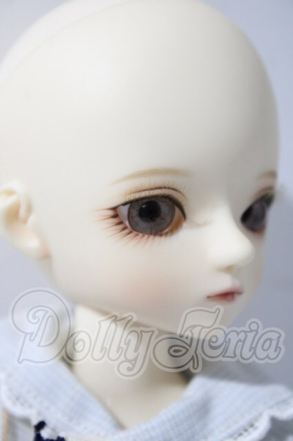 画像3: bluefairy/shinyfairy jr/Leira A-26-04-22-1096-TN-ZU (3)