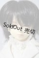画像: SD13男の子/遠夜 U-26-04-15-218-TN-ZU