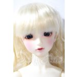 画像: SD/フルチョイスSD-F-61 U-26-04-22-208-TN-ZU