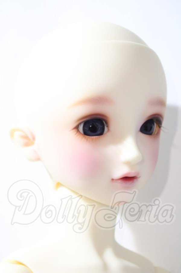 画像3: SD/フルチョイスSD-F-61 U-26-04-22-208-TN-ZU (3)