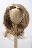 画像1: 8-9inch/ウィッグ U-26-04-22-013-TN-ZU (1)