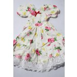 画像: SD/OF:ワンピース U-26-04-22-135-TN-ZU