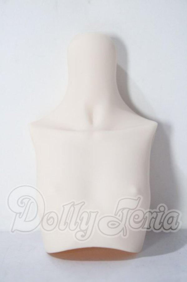 画像1: MDD/上半身パーツ A-26-04-29-1058-TN-ZU (1)