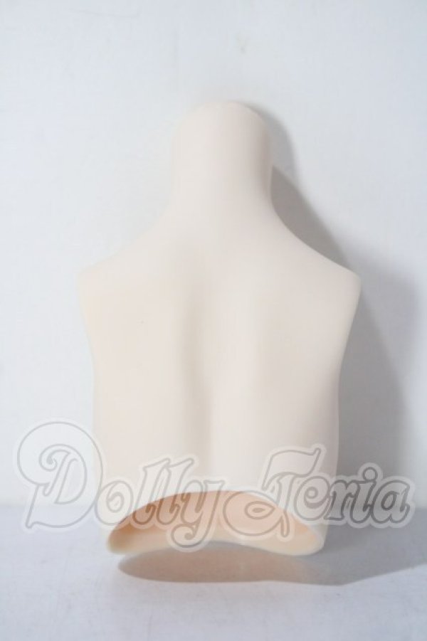 画像2: MDD/上半身パーツ A-26-04-29-1051-TN-ZU (2)