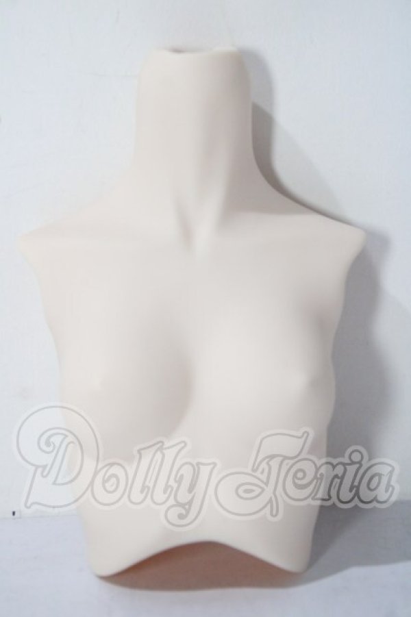 画像1: DD/上半身パーツ A-26-04-29-1056-TN-ZU (1)