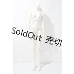 画像: DD/ベースボディIII A-26-04-22-1095-TN-ZU