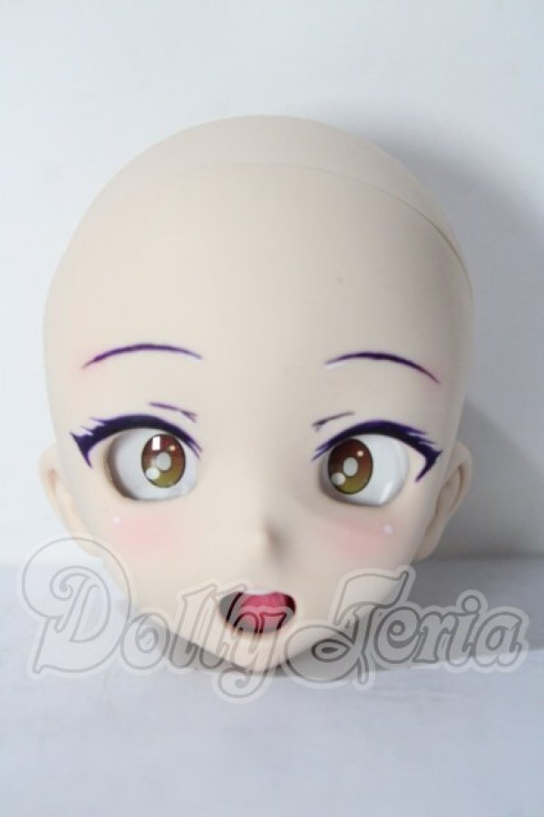 画像1: DD/DDH-08:ヘッド A-26-04-29-1069-TN-ZU (1)