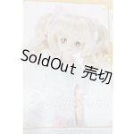 画像: MDD/ミントCATセット A-26-04-29-1049-TN-ZU