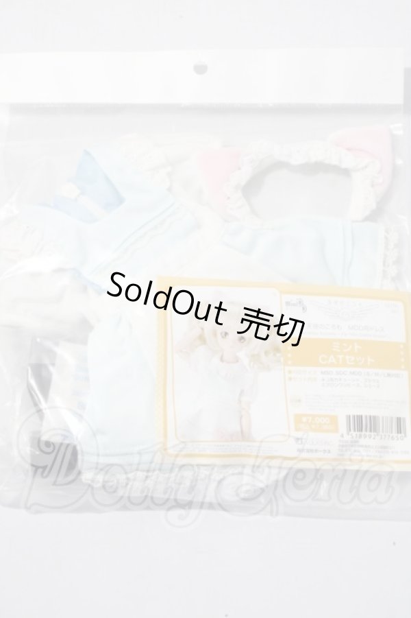 画像2: MDD/ミントCATセット A-26-04-29-1049-TN-ZU (2)