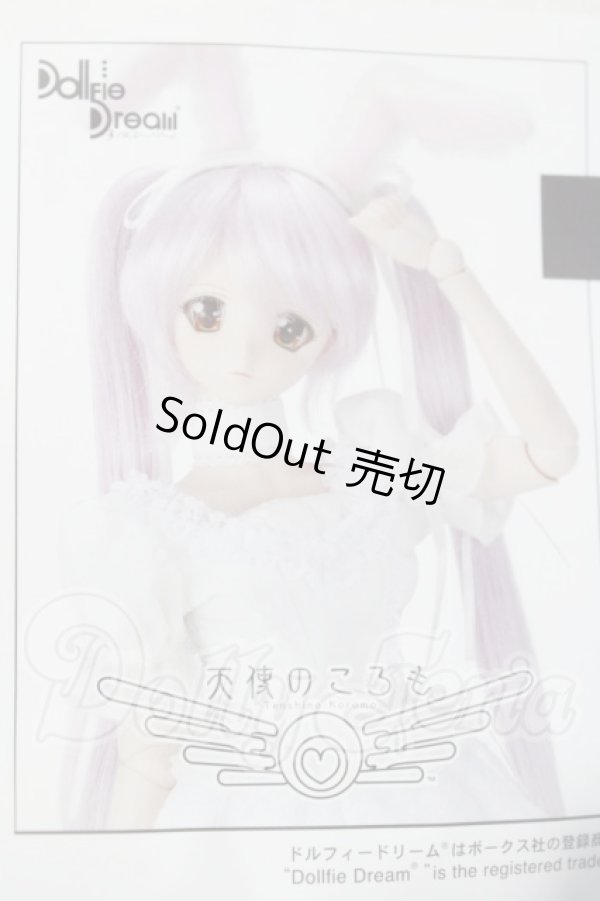 画像1: DD/ホワイトセット A-26-04-29-1026-TN-ZU (1)