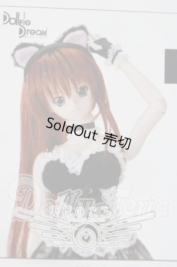 画像1: DD/ブラックラバーセット A-26-04-29-1028-TN-ZU (1)