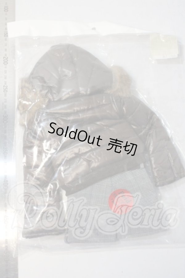 画像2: DD/レディブラウンダウンセット A-26-04-29-1001-TN-ZU (2)