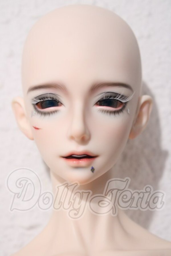 画像2: ringdoll/Cryan・SP Fullset  A-26-04-29-1102-TN-ZU (2)