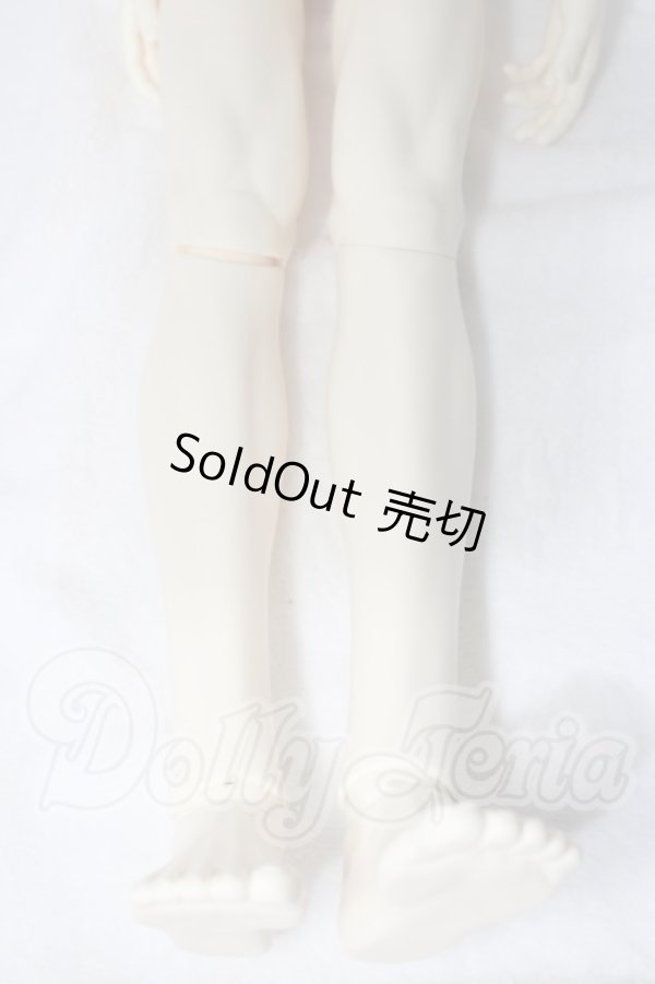 画像4: LUTS/Super Senior Delf Body A-26-04-29-1103-TN-ZU (4)