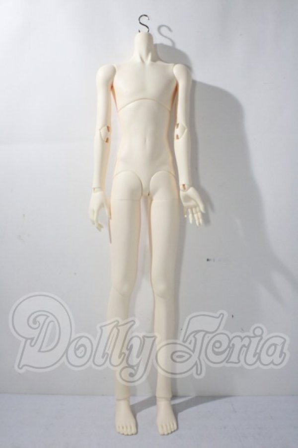 画像1: Senior Delf MUSE　ボディ A-26-04-29-1097-TN-ZU (1)