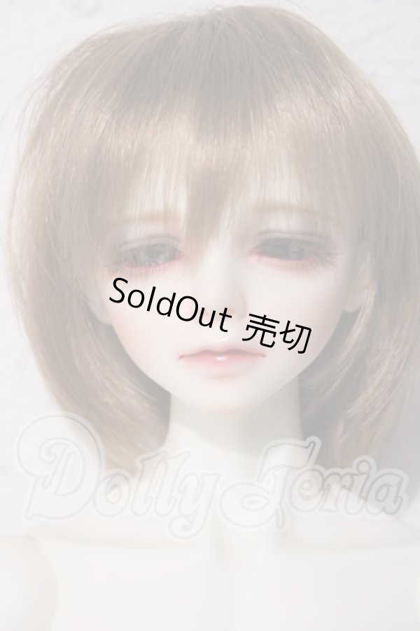 画像1: LUTS　senior65　delf bliss A-26-04-29-1106-TN-ZU (1)