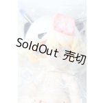 画像: 虫虫カフェ/ビビ A-26-05-06-1062-TN-ZU