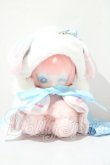 画像1: PENNY'S BOX/ANTU(アンティーユ):イチゴ猫　可愛いプチ ブラインドぬいぐるみ シリーズ A-26-05-06-1072-TN-ZU (1)