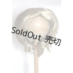 画像: 8-9inch/ウィッグ KamR様製 U-26-05-06-036-NY-ZU