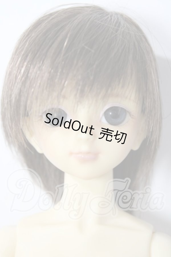画像1: SDC/楓 U-26-06-03-214-TN-ZU (1)