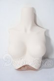 画像1: DD/上半身パーツ(M胸・セミホワイト) A-26-05-20-1037-TN-ZU (1)