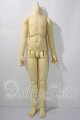 画像: SD13BOY/ボディ U-26-06-03-212-TN-ZU