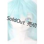 画像: DD/初音ミク A-26-06-03-1099-TN-ZU