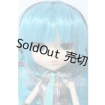 画像: プーリップ/初音ミク A-26-06-03-1077-TN-ZU